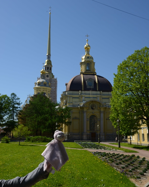 Bear - Peter and Paul Cathedral - St  Petersburg  Russia